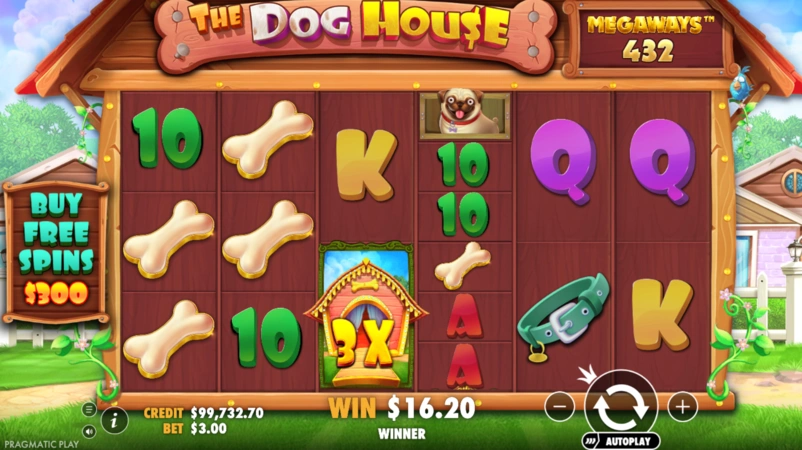 The Dog House Megaways Slot Teması